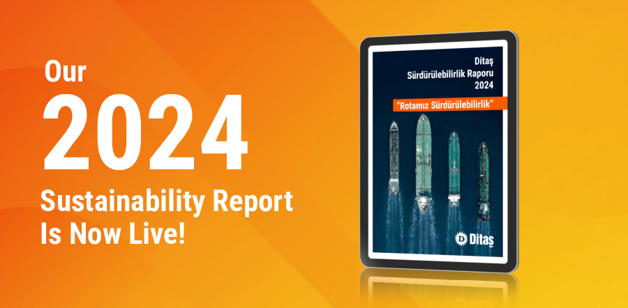Our 2024 Sustainability Report Is Now Live!
